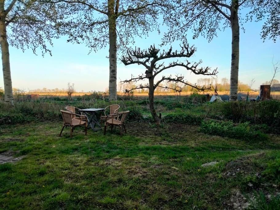 Vogelvrij Vierhuizen