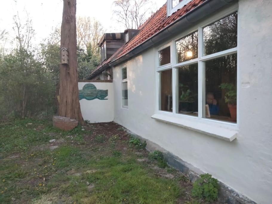 Vogelvrij Holiday home Vierhuizen