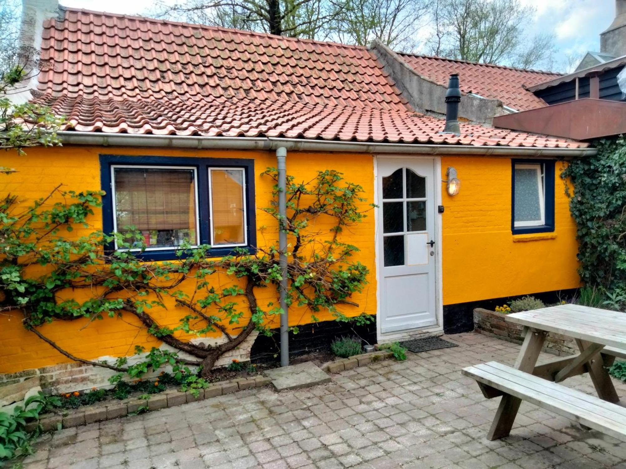 Vogelvrij Holiday home Vierhuizen